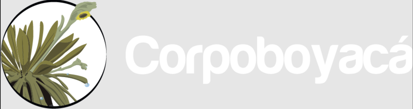 Logotipo oficial de Corpoboyacá